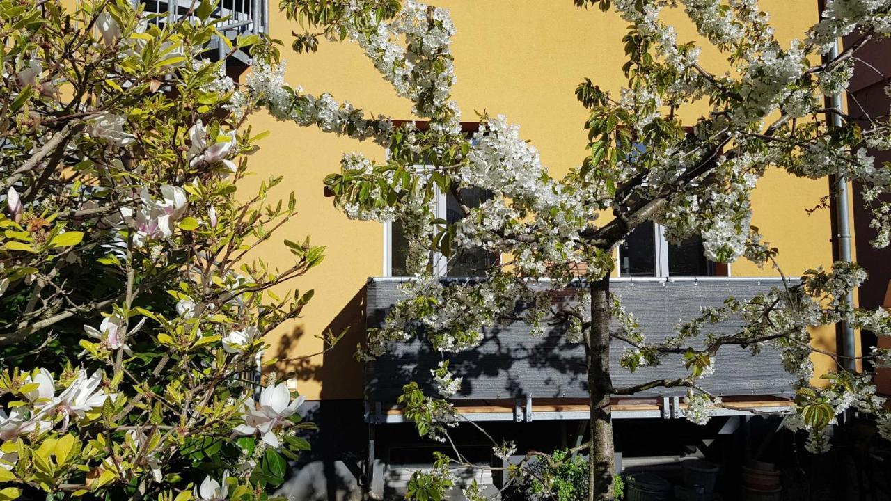 Stilvolle Ferienwohnung Am Stadthafen Schwerin 슈베린 외부 사진